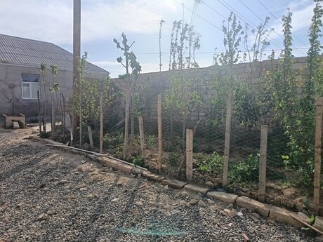 Obyekt - Masazır q. - 300 m²
