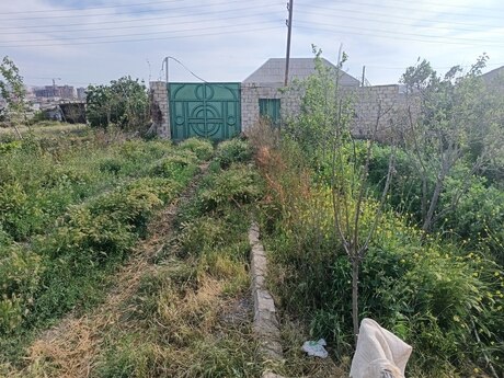 Obyekt - Masazır q. - 300 m²