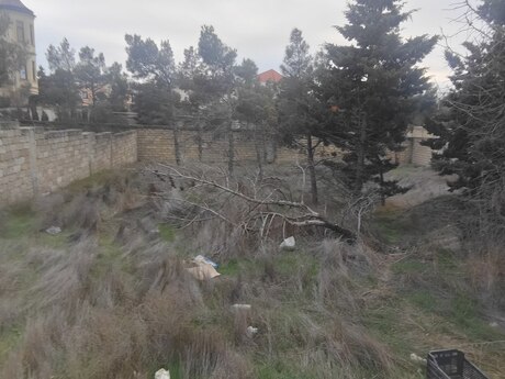 Объявление №5974808 - Баку, Низаминский  р., 6 сот