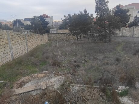 Объявление №5974823 - Баку, Низаминский  р., 7 сот