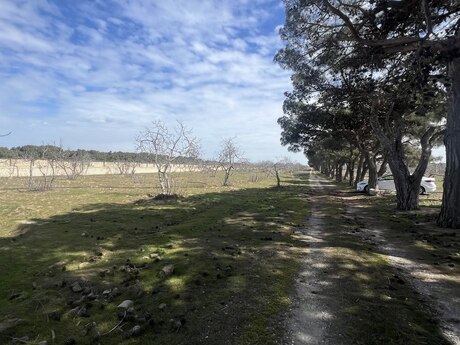 Объявление №5974910 - Баку, пос. Рамана, 450 сот