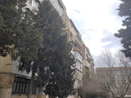 4-комнатная квартира, 90 м², Bakıxanov: 216 000 ₼ 4
