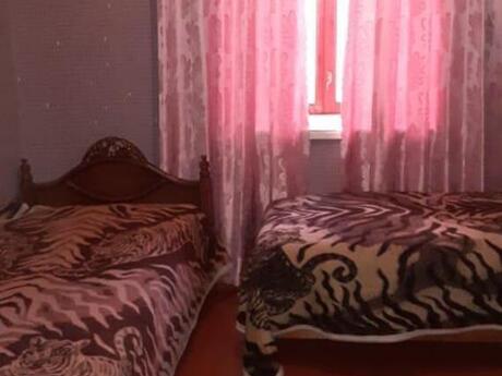 2 otaqlı həyət evi/bağ evi - Nəsimi r. - 40 m²
