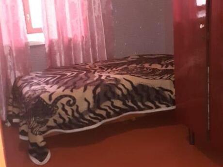 2 otaqlı həyət evi/bağ evi - Nəsimi r. - 40 m²