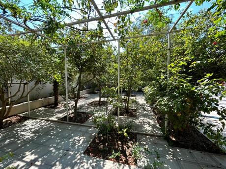 5 otaqlı həyət evi/bağ evi - Badamdar q. - 200 m²