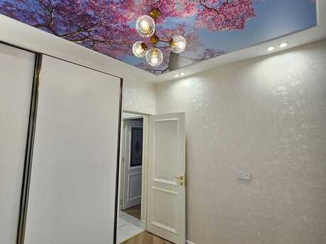 2-комнатная квартира, 44 м², Olympus Nobel: 149 000 ₼ 5