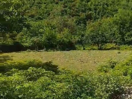 Satılır torpaq 28 sot, Oğuz