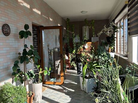 5 otaqlı həyət evi/bağ evi - Bilgəh q. - 400 m²