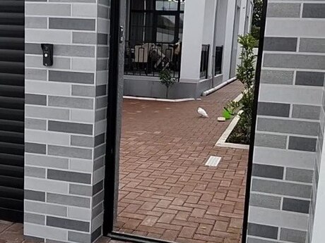 House with Garden, Villa For Sale