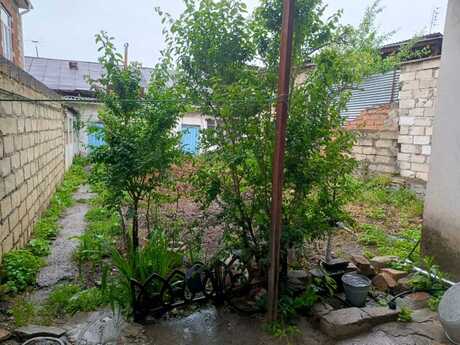 3 otaqlı həyət evi/bağ evi - Quba - 85 m²