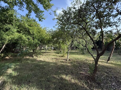 House with Garden, Villa For Sale