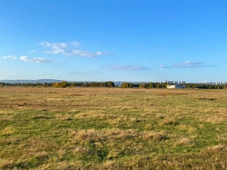 Elan №5979100 - Bakı, Qobu q., 500 sot