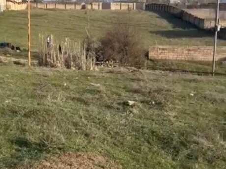 Satılır torpaq 8 sot, Şamaxı