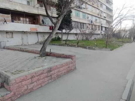 Объявление №5979872 - Баку, пос. Ахмедлы, 177 м²