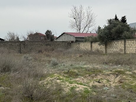 Torpaq - Novxanı q. - 6 sot