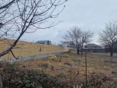 Elan №5980406 - Qax, Qax, 20 sot