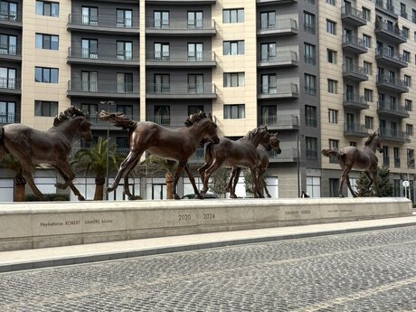 Elan №5981270 - Bakı, Ağ şəhər q., 240 m²