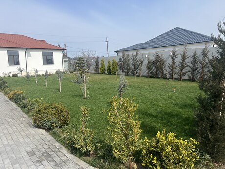 4 otaqlı həyət evi/bağ evi - Albalılıq q. - 190 m²