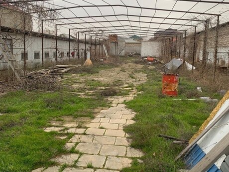 Объявление №5981335 - Баку, пос. Савалан, 48 сот