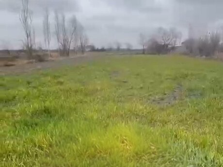 Satılır torpaq 12 sot, Şabran