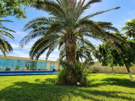 5 otaqlı həyət evi/bağ evi - Bilgəh q. - 350 m²