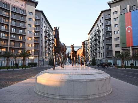 Elan №5904032 - Bakı, Ağ şəhər q., 2 otaqlı, 52 m², 5/7 mərtəbə