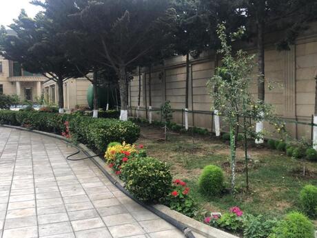 6 otaqlı həyət evi/bağ evi - Şüvəlan q. - 600 m²