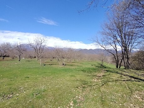Satılır torpaq 4 sot, Qəbələ