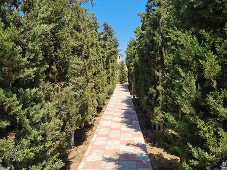 10 otaqlı həyət evi/bağ evi - Mərdəkan q. - 600 m²
