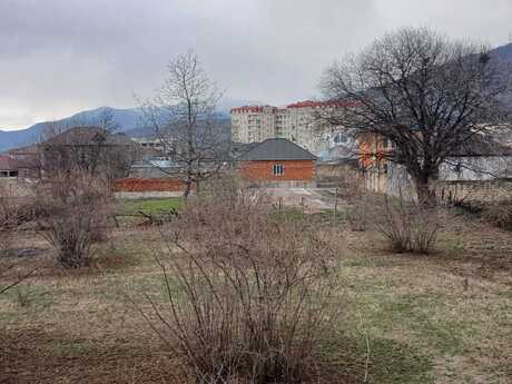 Satılır torpaq 8 sot, Zaqatala