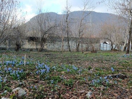 Satılır torpaq 13 sot, Qəbələ