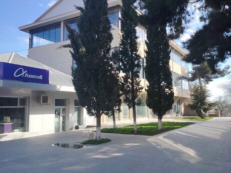 Şamaxı