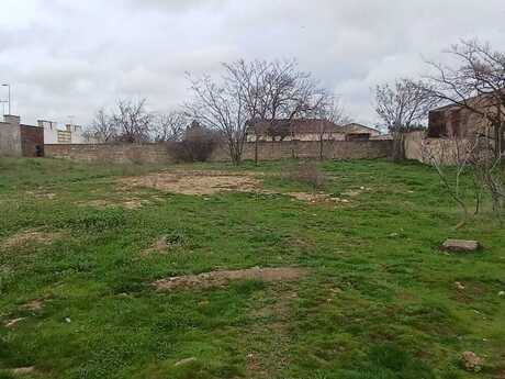 Torpaq - Qala q. - 53.3 sot