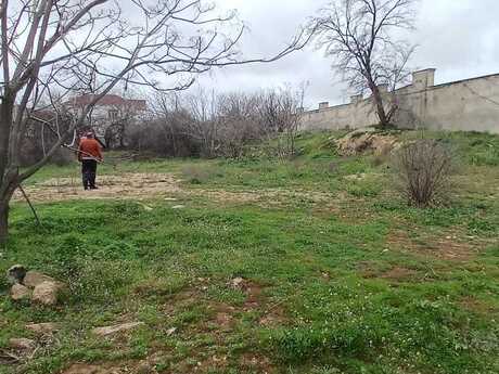 Torpaq - Qala q. - 53.3 sot