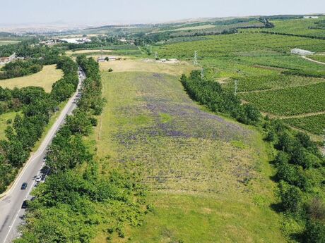 Объявление №5985463 - Шемаха, Шемаха, 320 сот