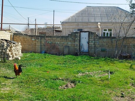 Satılır torpaq 3 sot, Zabrat q.