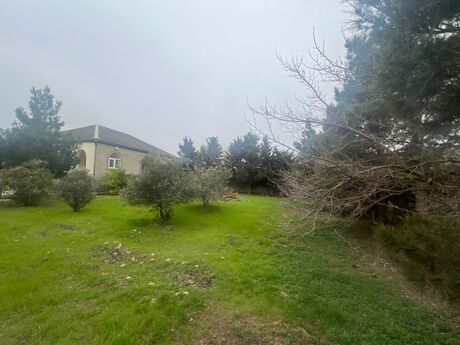 Satılır torpaq 10 sot, Şağan q.