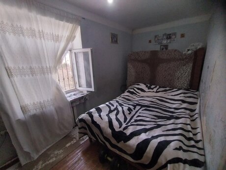 Satlr 2 otaql khn tikili 55 m, Hvsan q.