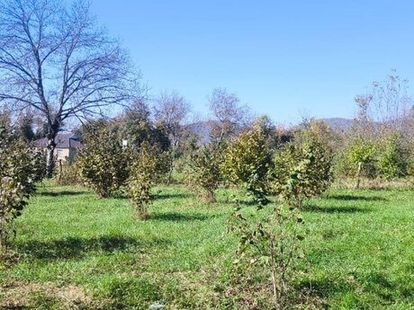Satılır torpaq 9 sot, Qəbələ