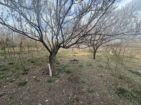 Satılır 3 otaqlı həyət evi/bağ evi 60 m², Qazax