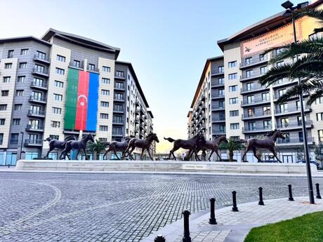 Объявление №5986269 - Баку, пос. Аг шехер, 110 м²