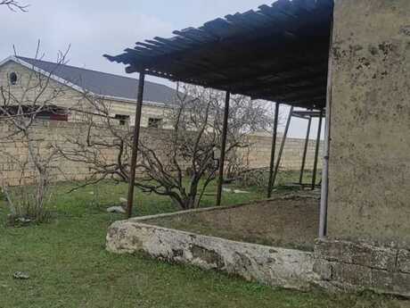 Elan №5986539 - Bakı, Qala q., 8 sot