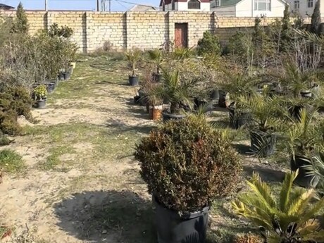 Satılır torpaq 3 sot, Sumqayıt