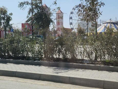 Elan №5986762 - Bakı, Bilgəh q., 2 otaqlı, 51.4 m², 1/7 mərtəbə