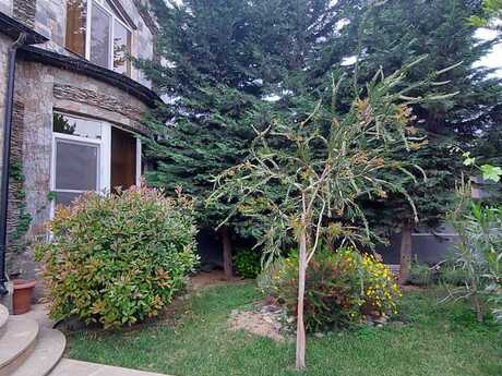 4 otaqlı həyət evi/bağ evi - Mərdəkan q. - 200 m²
