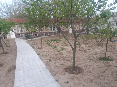 4 otaqlı həyət evi/bağ evi - Novxanı q. - 120 m²