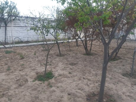 4 otaqlı həyət evi/bağ evi - Novxanı q. - 120 m²