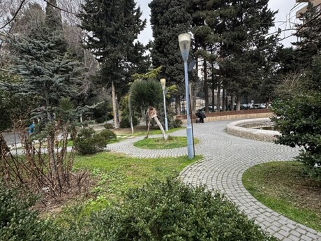 Elan №5987122 - Bakı, Azadlıq Prospekti m., 3 otaqlı, 90 m², 6/9 mərtəbə