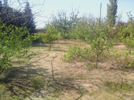 3 otaqlı həyət evi, 80 m², Novxanı: 240 000 ₼ 5