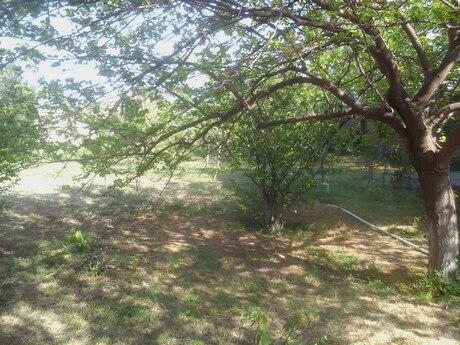 3 otaqlı həyət evi/bağ evi - Novxanı q. - 80 m²
